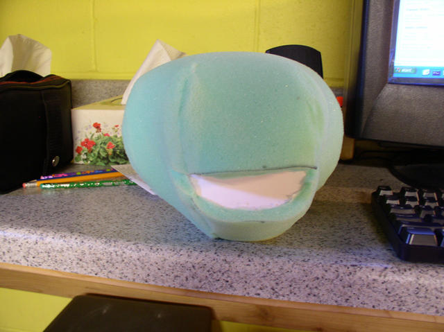 wedge head4.JPG